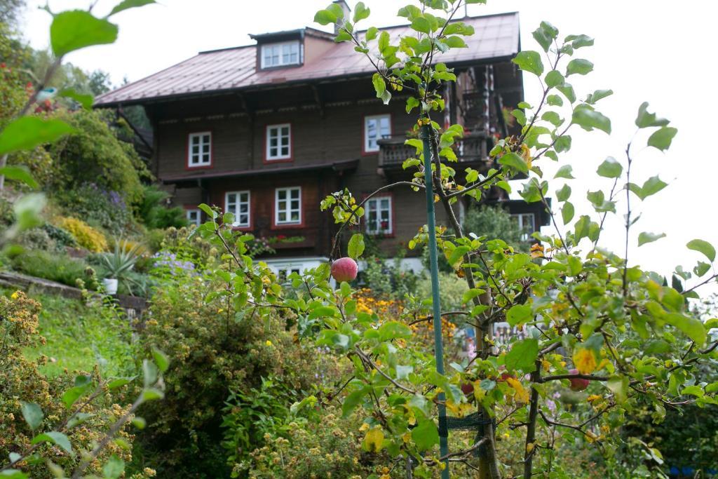 Penzion Landhaus Alpina Mittersill Exteriér fotografie